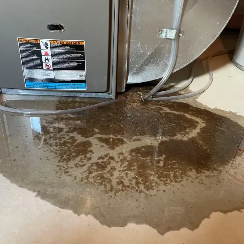 Appliance Leak Cleanup in Manila, UT